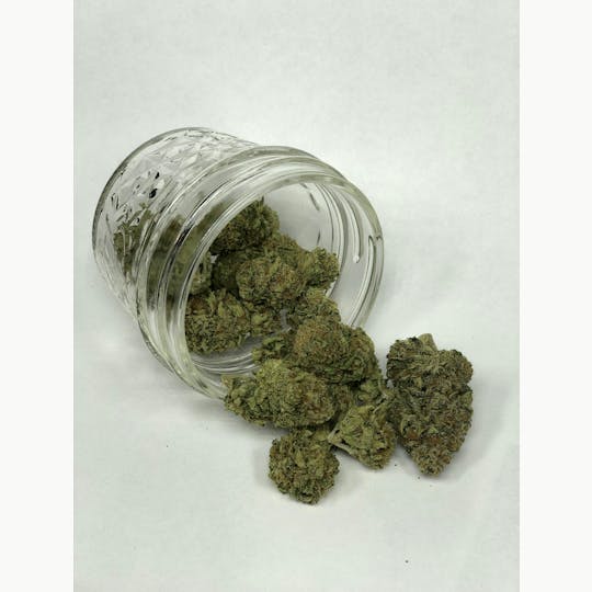 Indico - Citrus Farmer - 1