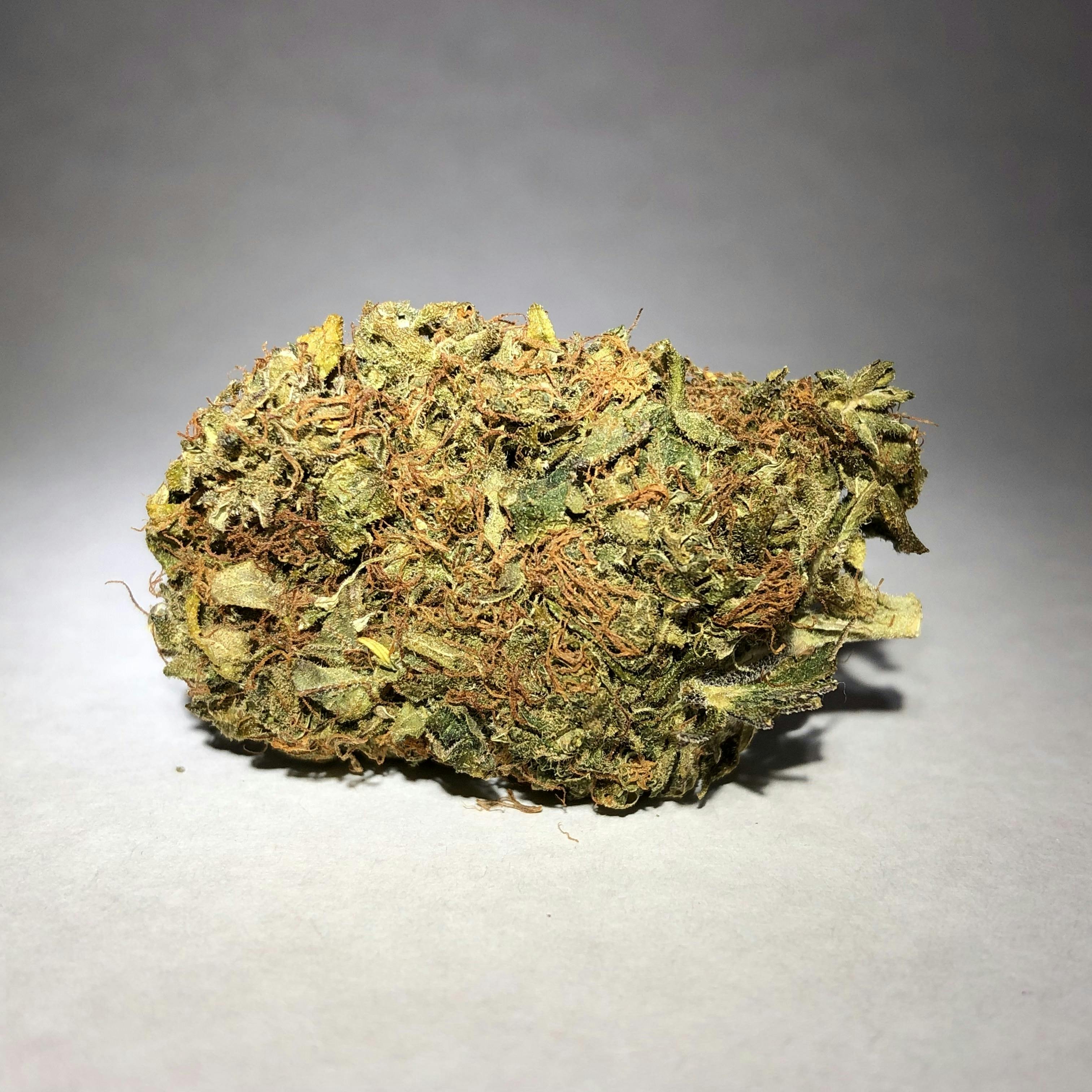 Nutze.Hanf - Vannila Kush - 1