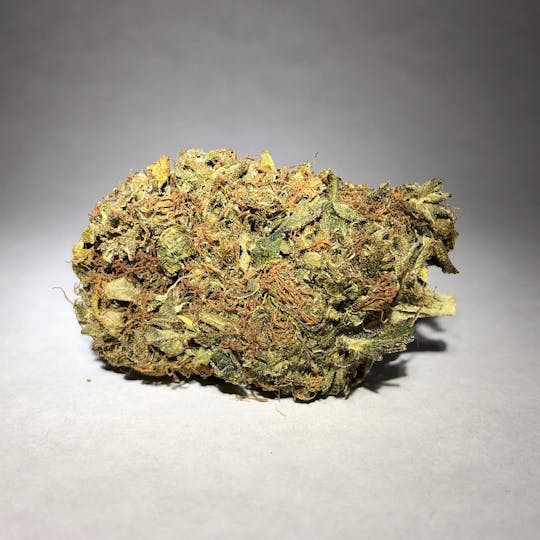 Nutze.Hanf - Vannila Kush - 1