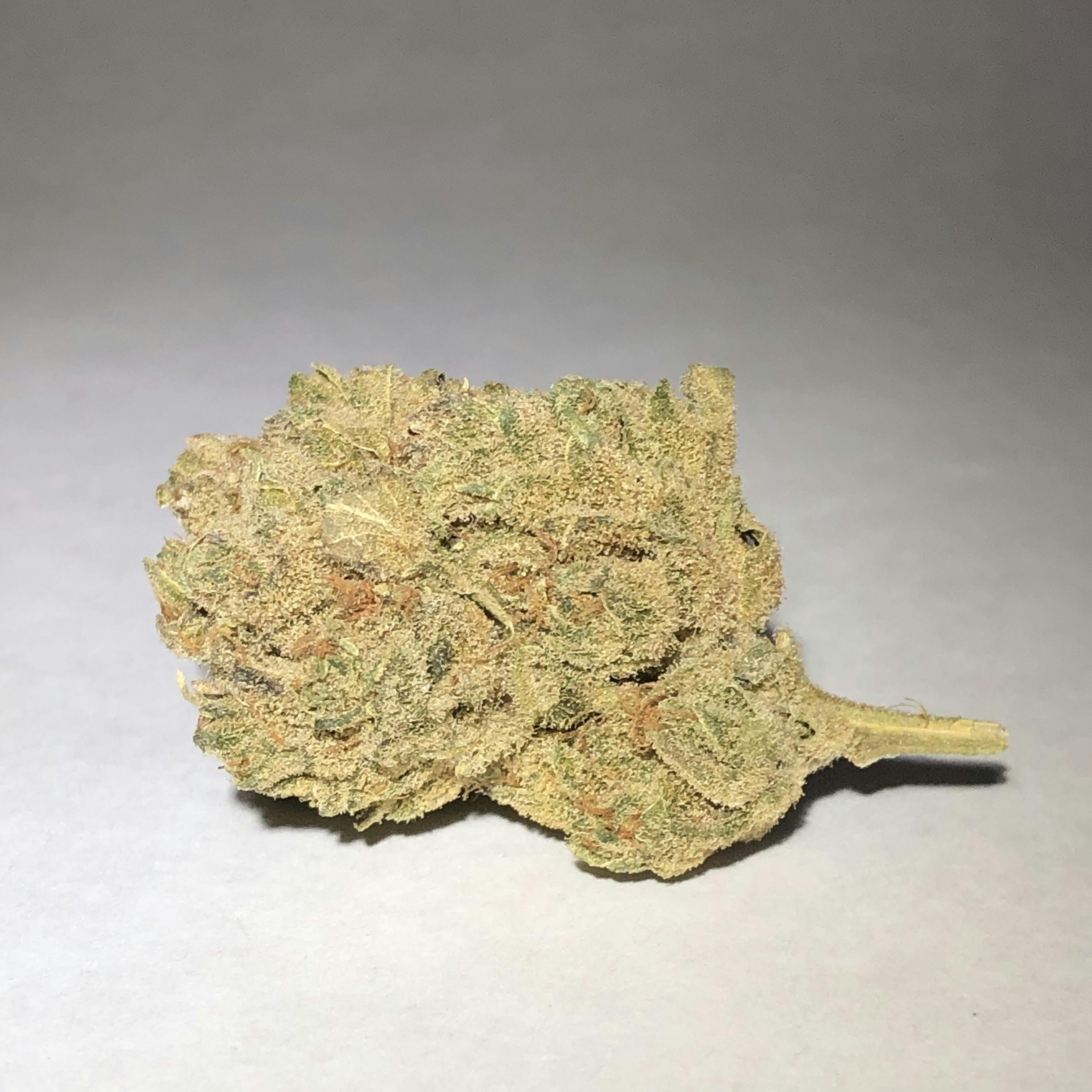 Nutze.Hanf - Amnesia Haze - 1