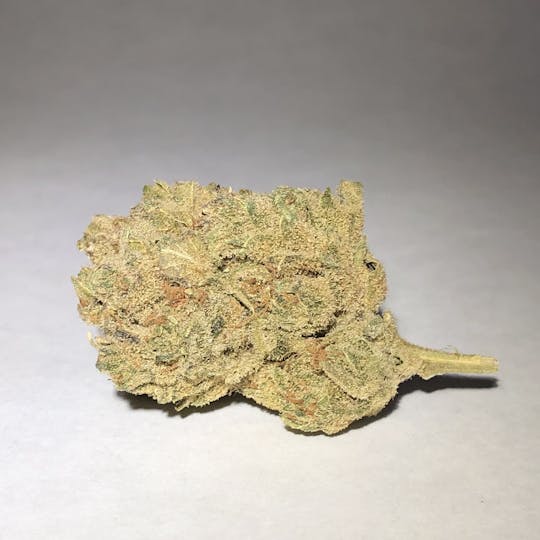 Nutze.Hanf - Amnesia Haze - 1