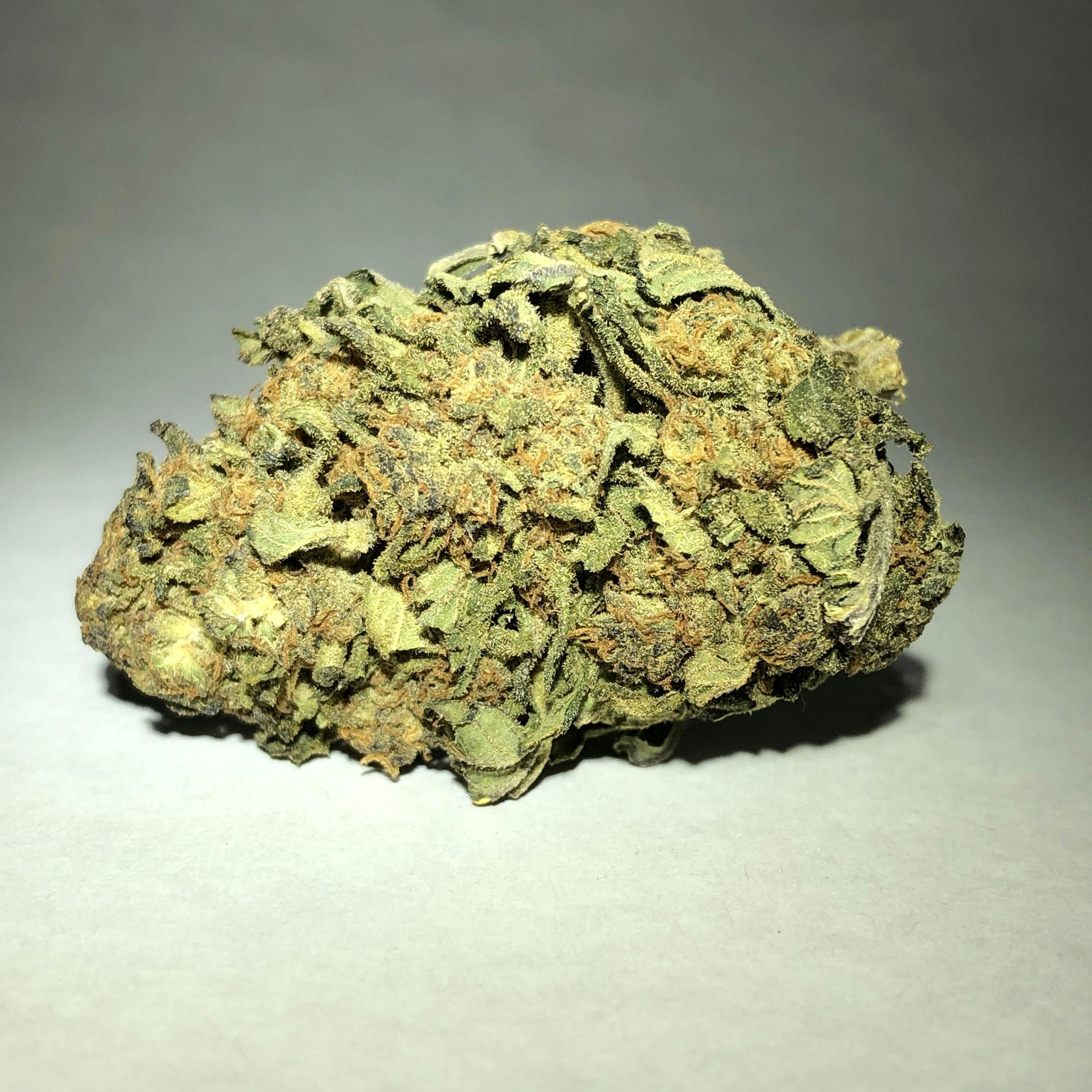 Nutze.Hanf - Gorilla Glue - 1