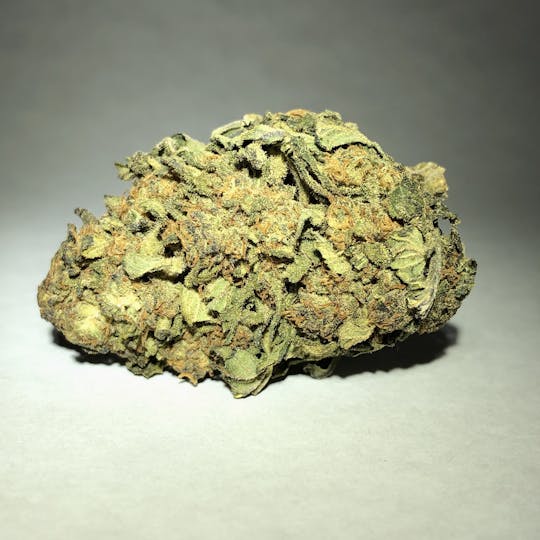 Nutze.Hanf - Gorilla Glue - 1