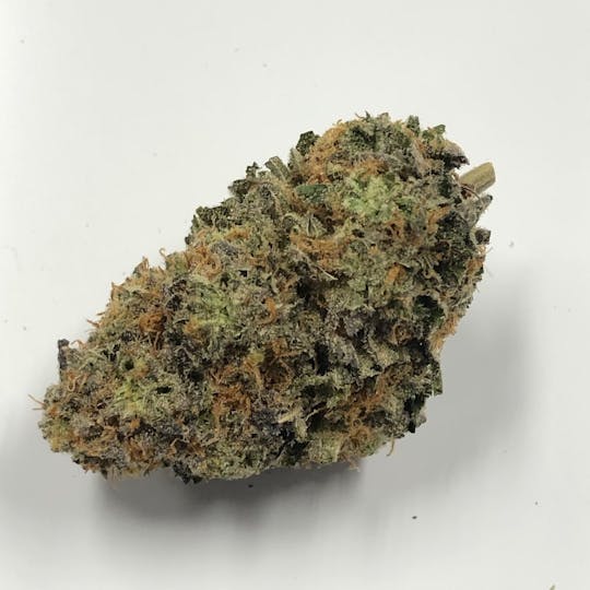 Iron Lung (Medical) - Wedding Crasher - 1