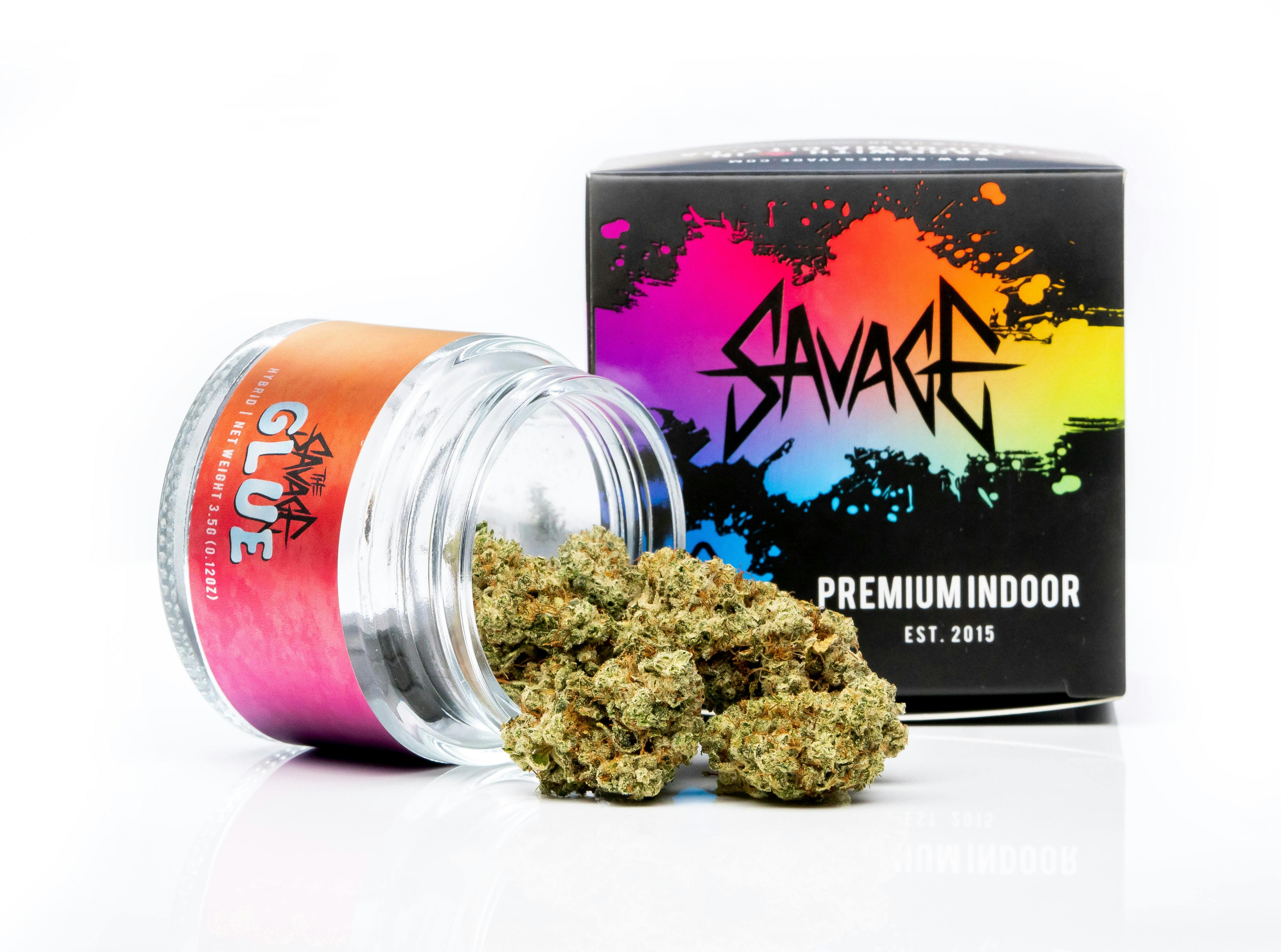 SAVAGE - Glue Indoor Flower by SAVAGE - 1