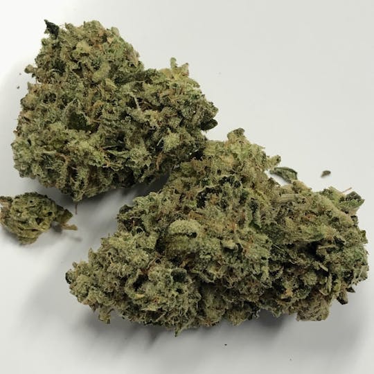 Iron Lung (Medical) - Sassy Gorilla Flower - 1
