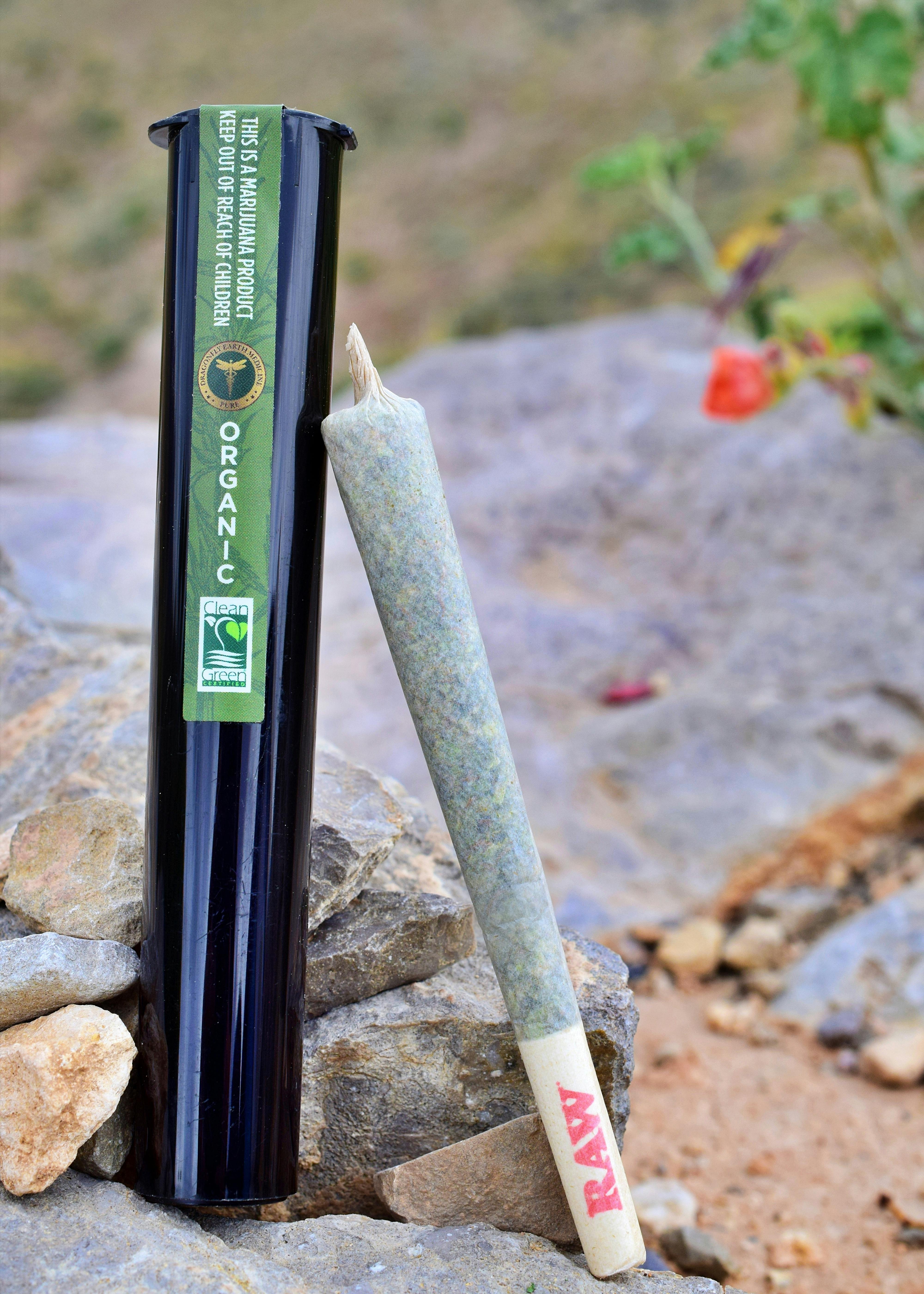 GLP - South African Kwazulu Pre-Roll - 1