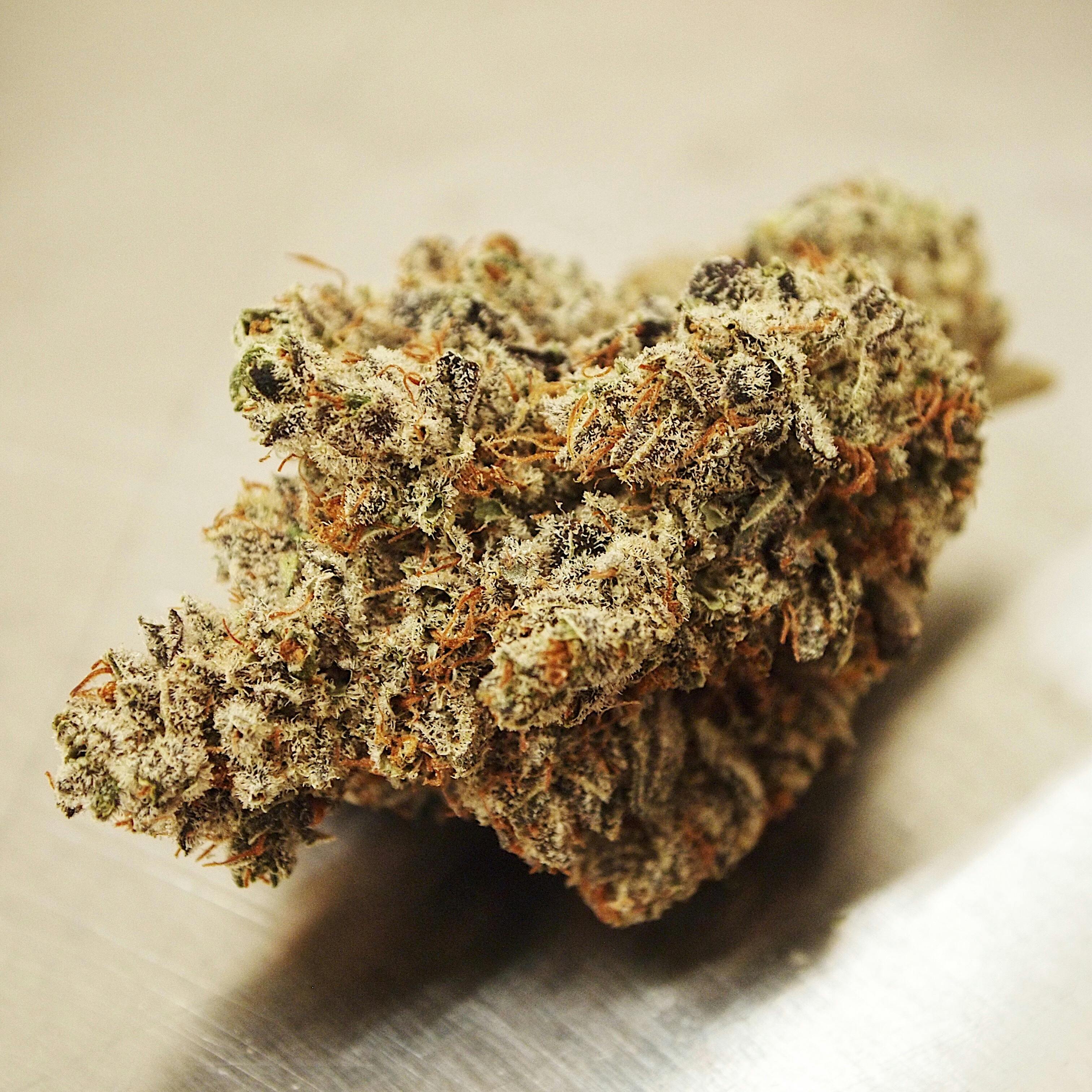 High Tide Organics - Member Berry - 1