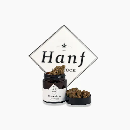 Hanf im Glück - Chameleon - 1