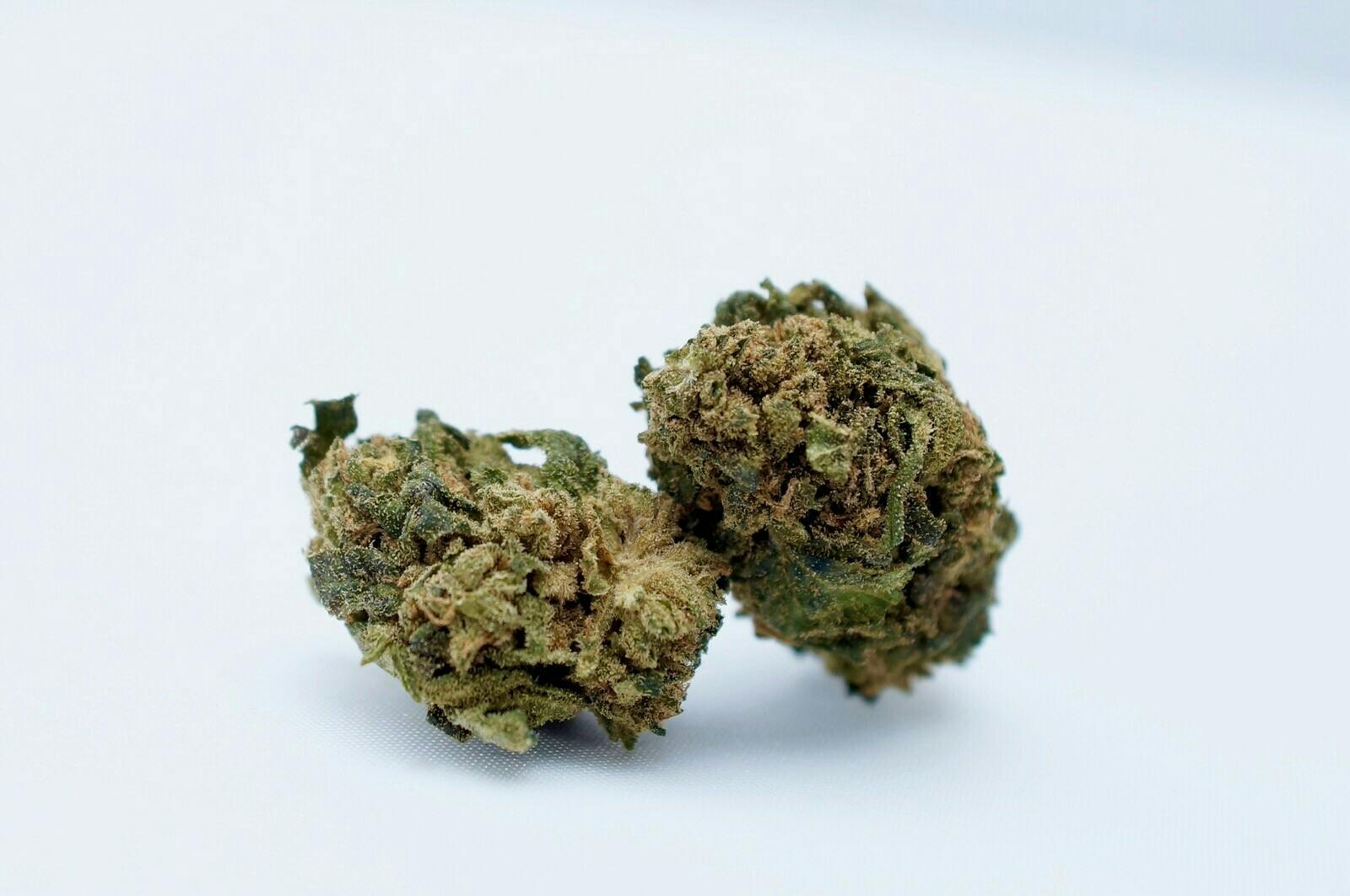 Hanf im Glück - Cannatonic - 1