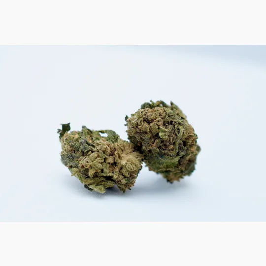 Hanf im Glück - Cannatonic - 1