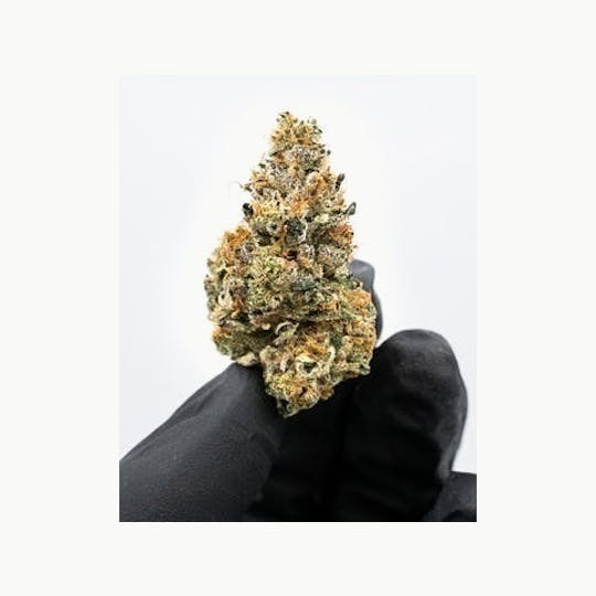 Connected Cannabis Co. - Fuelato - Indoor - 1