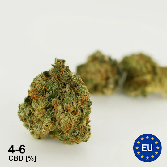 CBD Jonny - Trump 0,2 - 1