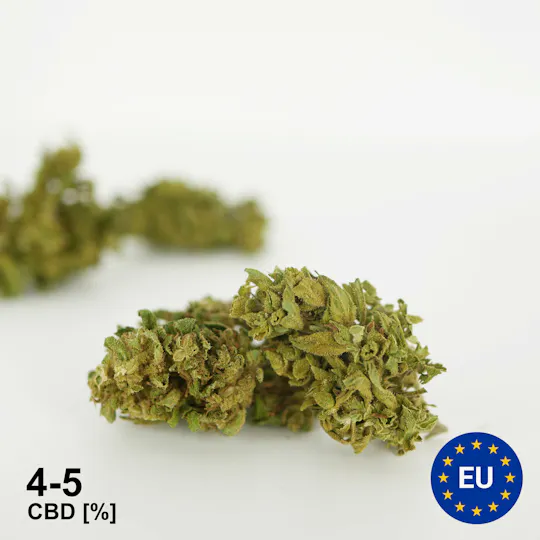 CBD Jonny - Kickl 0,2 - 1