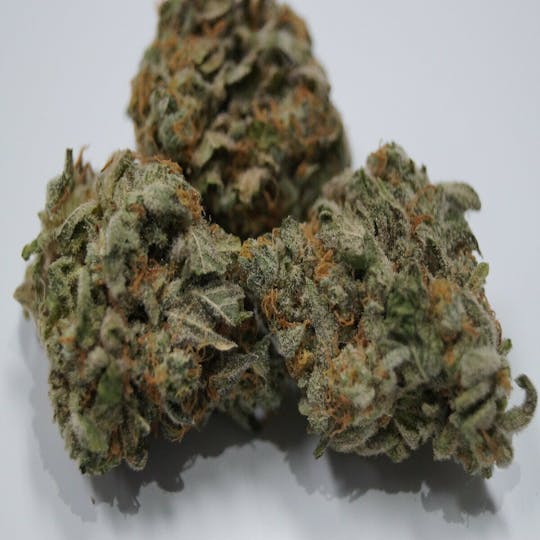 Iron Lung (Medical) - Mint Chip Randy - 1