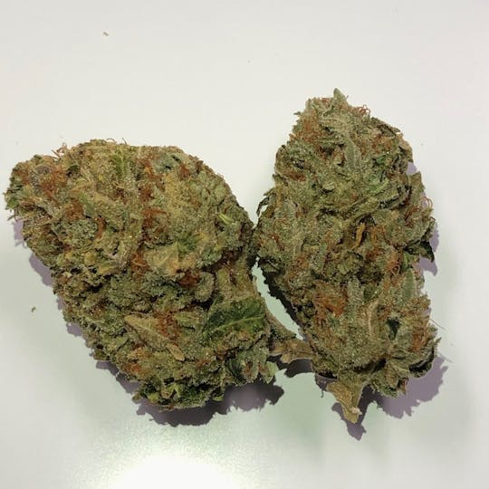 Iron Lung (Medical) - Motor Breath - 1