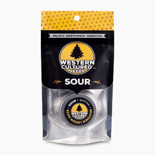 Western Cultured Seeds - SEATOWN LEMON HAZE – SOUR - 1