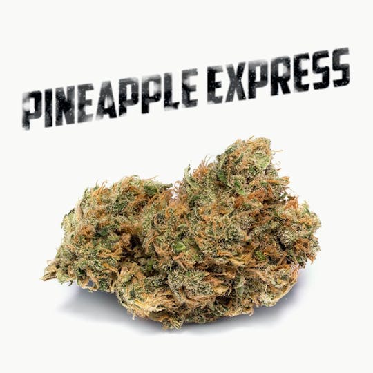 Phat Panda Seeds - PINEAPPLE X - 1