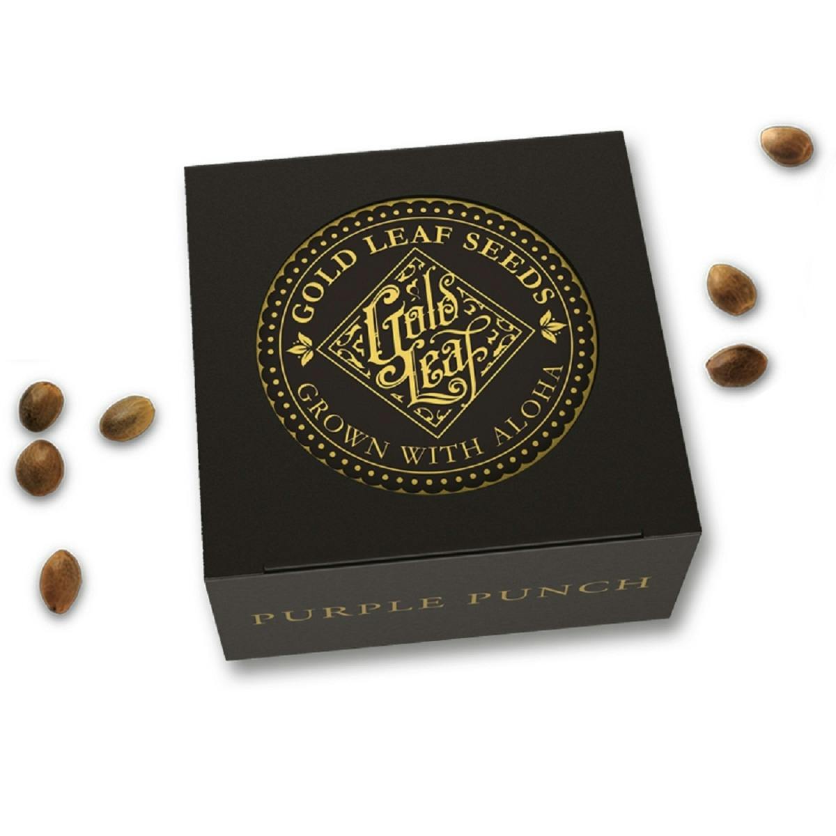 Gold Leaf Seeds - PURPLE PUNCH - 1