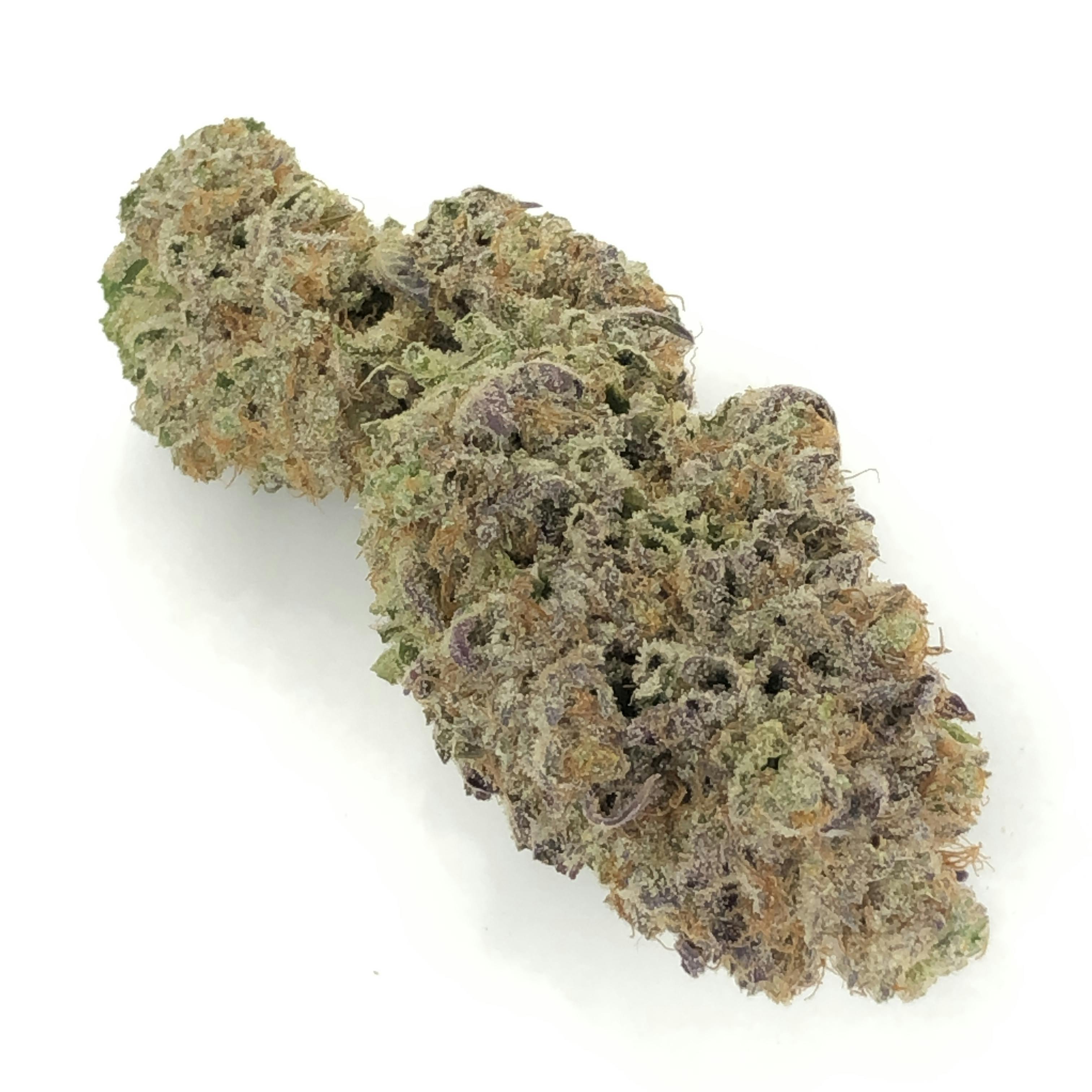 Stella's Farm - Mimosa #4 - 1