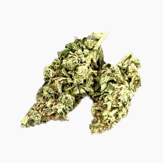 Stella's Farm - Stella's Farm | Cackleberry | Big Buds | 3.5g - 1