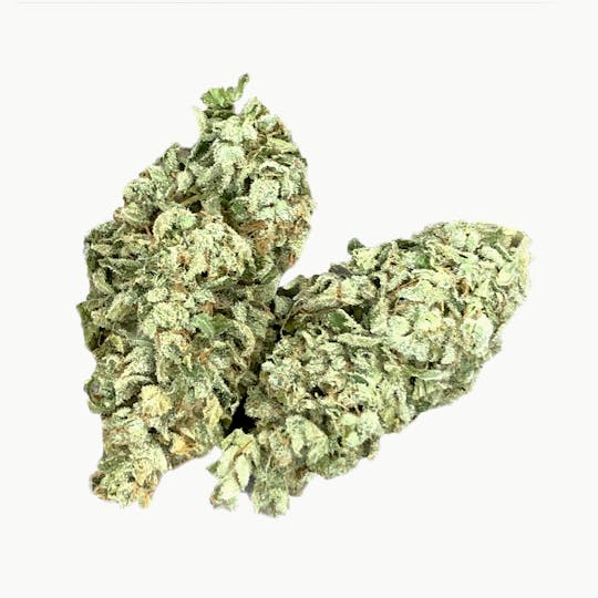 Stella's Farm - Grease Monkey - 1