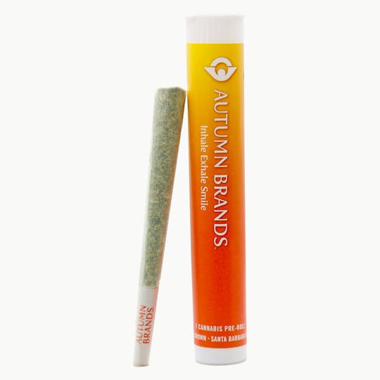 Autumn Brands - Citrus Dream 1 Gram Preroll - 1