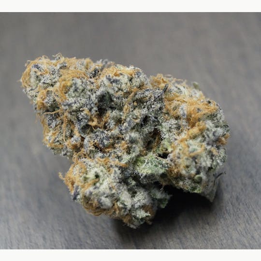 Iron Lung (Medical) - Purple Punch - 1