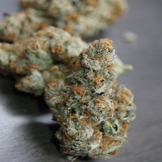 Iron Lung (Medical) - Rainbow x Dosi x Red Vine Kush - 1