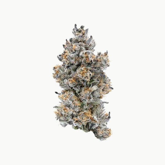 Connected Cannabis Co. - Guava x Biscotti - Indoor - 1