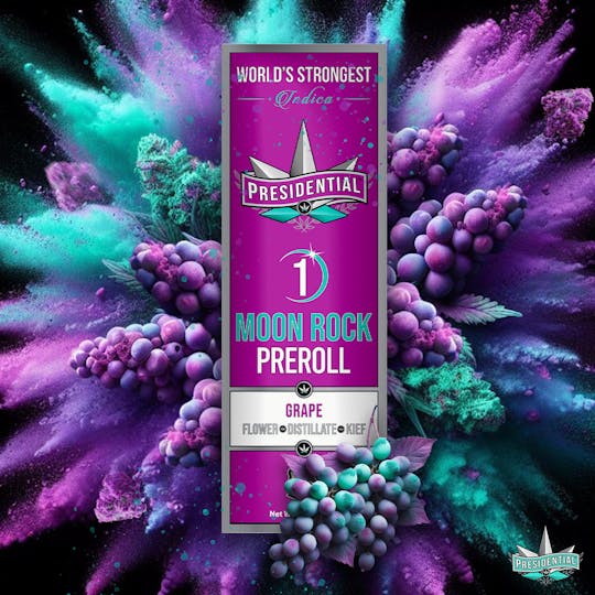 Presidential - Presidential Moon Rock Preroll - Grape (1g) - 1