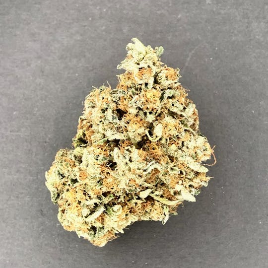 High Striker Farm - Orange Cookies - 1