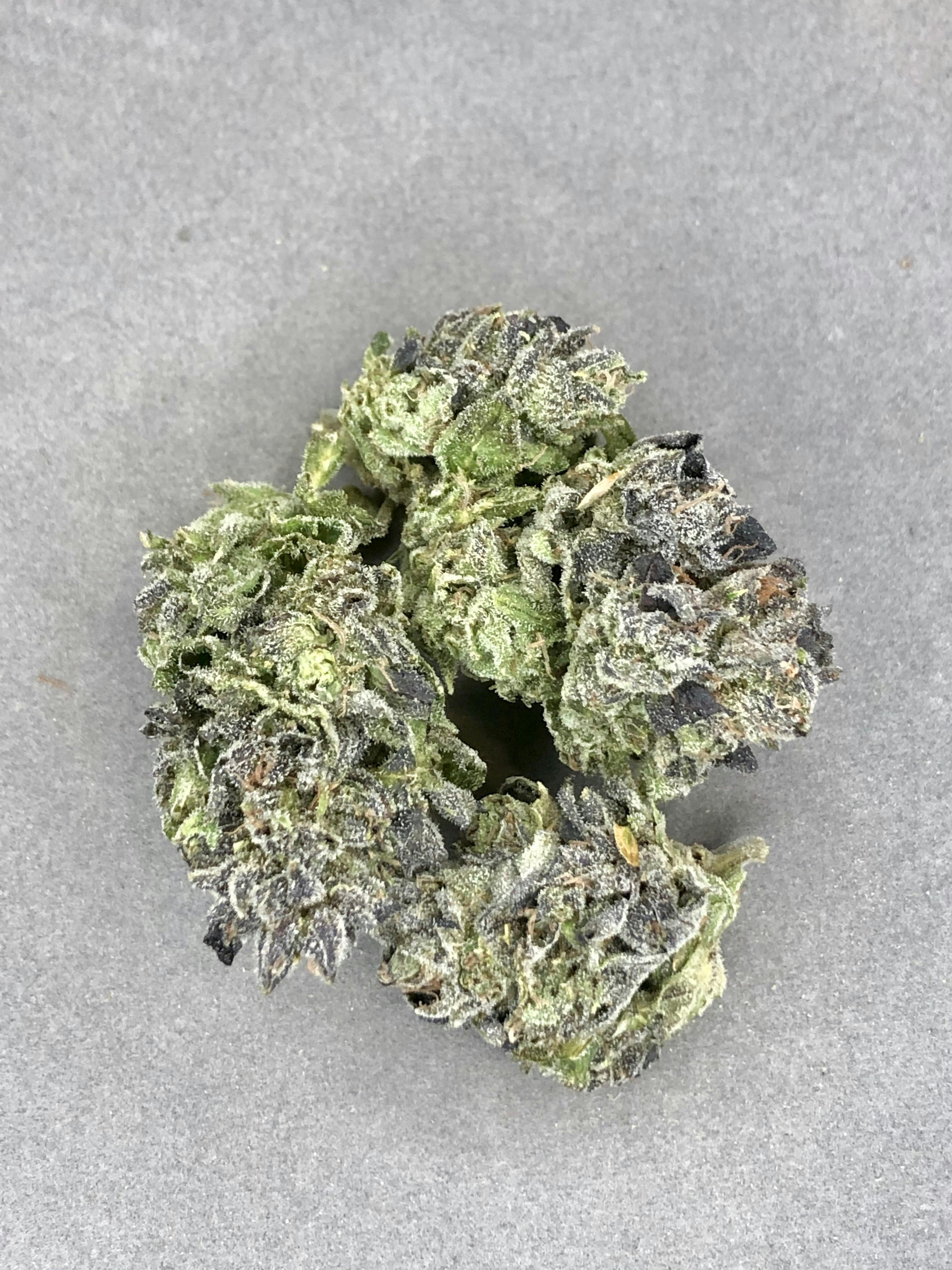 Stella's Farm - Stella's Farm | Magnum Opus | Big Buds | 3.5g - 1
