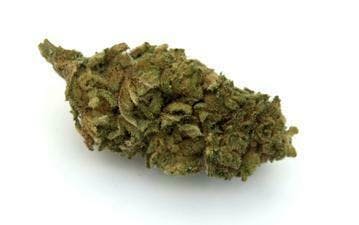 Krautbuam - CBD Blüten: Tannenbaum - 20g - 1
