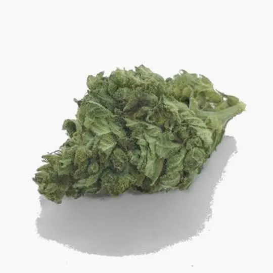 Krautbuam - CBD Blüten: Früchtchen - 10g - 1