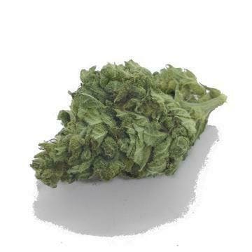 Krautbuam - CBD Blüten: Früchtchen - 20g - 1