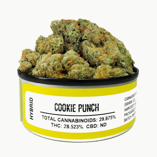 Space Monkey Meds - Cookie Punch - 1