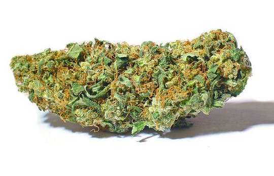 Green Giasing - Giasinger Kuh - 1