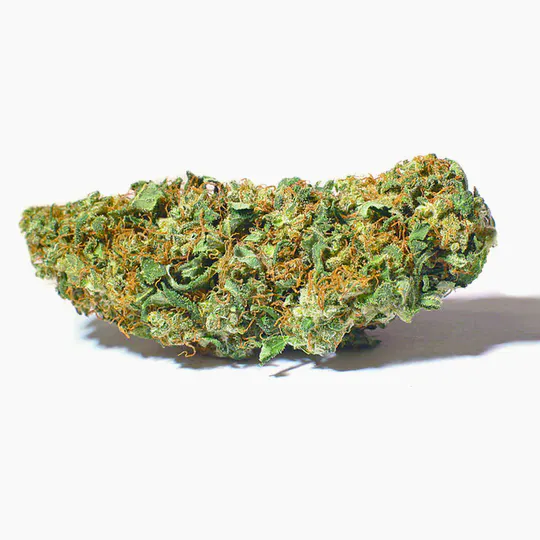 Green Giasing - Giasinger Kuh - 1