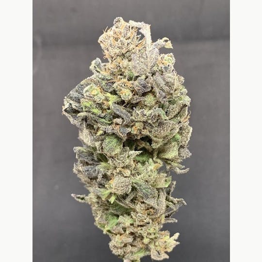 R2C2 - Girl Scout Cookies - 1