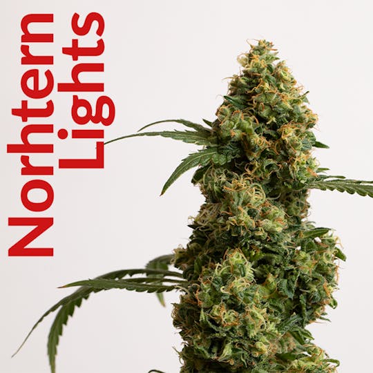 R2C2 - Northern Lights - 1