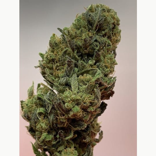 R2C2 - OG Kush - 1