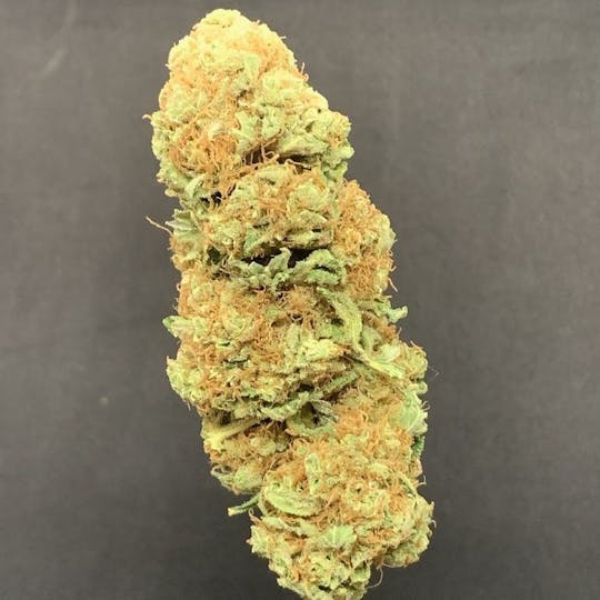 R2C2 - Shiva Shanti - 1