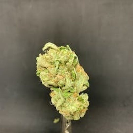 R2C2 - Whitaker Blues - 1