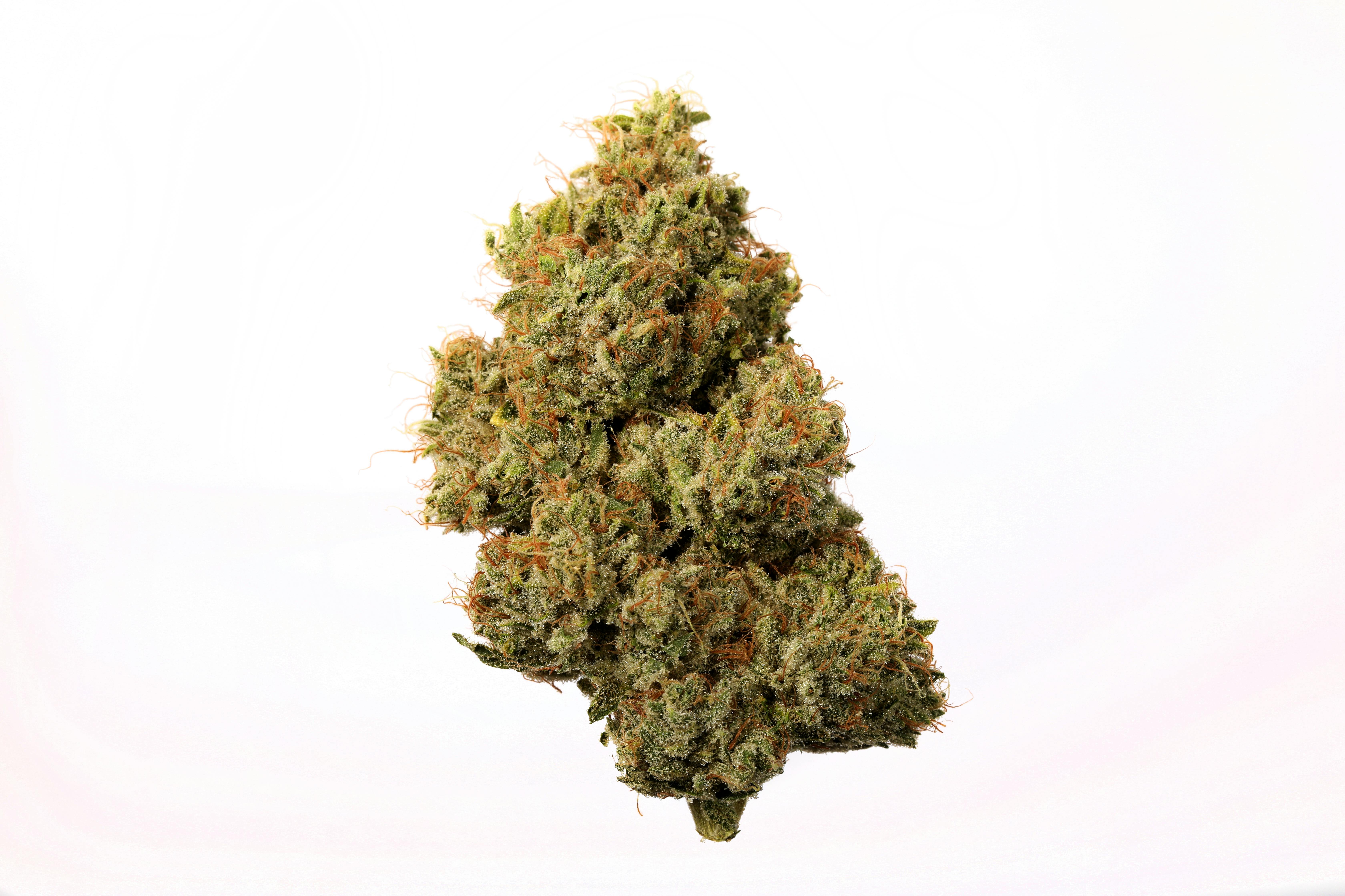 Seed & Smith Cannabis - Malibu Sunrise - 1