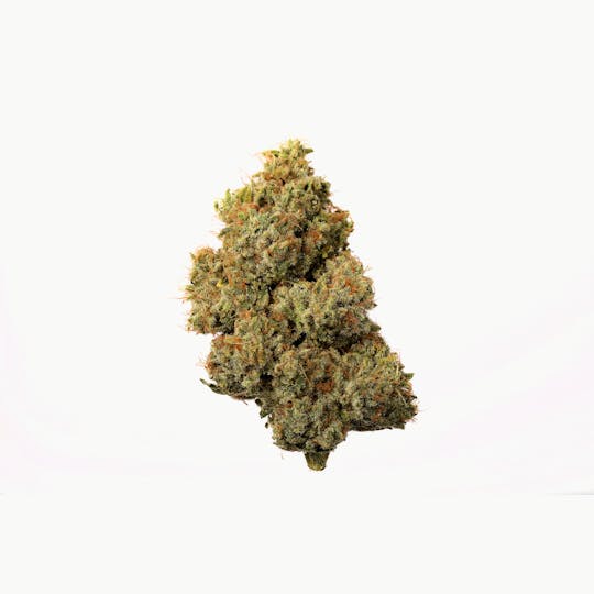 Seed & Smith Cannabis - Malibu Sunrise - 1