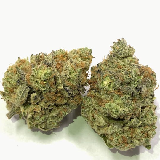 Iron Lung (Medical) - Banana Punch - 1