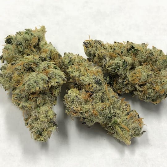 Iron Lung (Medical) - I95 - 1