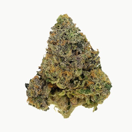 Space Monkey Meds - LA Pop Rockz - 1