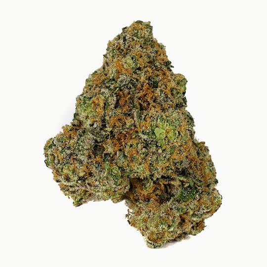 Space Monkey Meds - Violet Vixen - 1